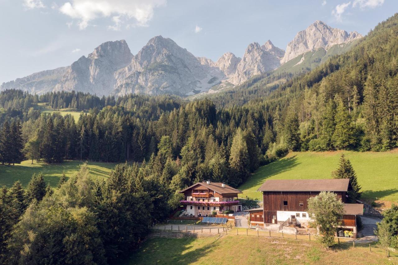 Familienbauernhof Samerhof プファルヴェルフェン エクステリア 写真