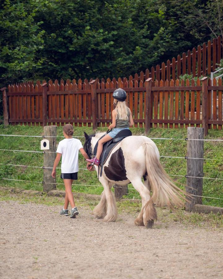 Familienbauernhof Samerhof プファルヴェルフェン エクステリア 写真