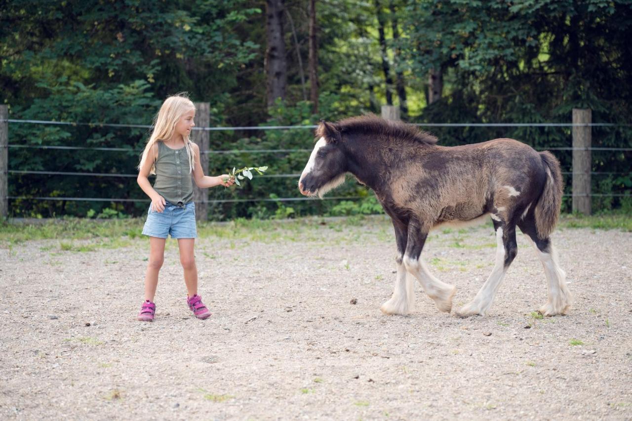 Familienbauernhof Samerhof プファルヴェルフェン エクステリア 写真