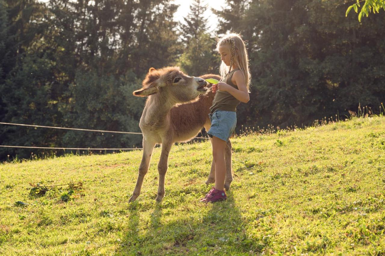 Familienbauernhof Samerhof プファルヴェルフェン エクステリア 写真