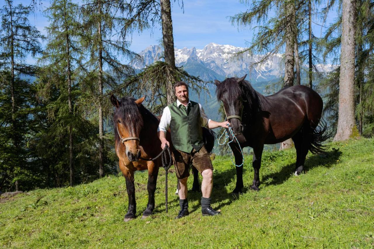 Familienbauernhof Samerhof プファルヴェルフェン エクステリア 写真