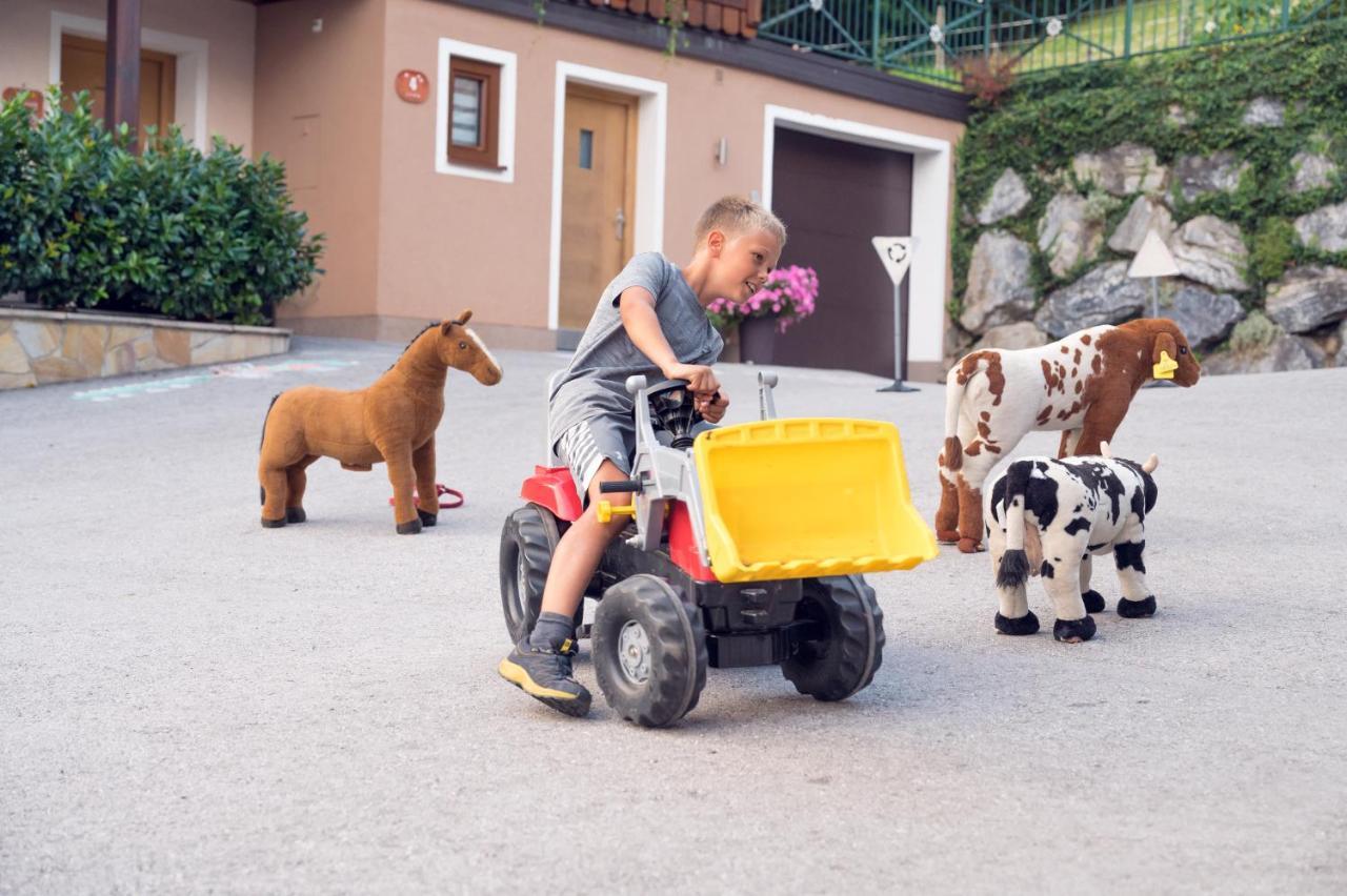 Familienbauernhof Samerhof プファルヴェルフェン エクステリア 写真