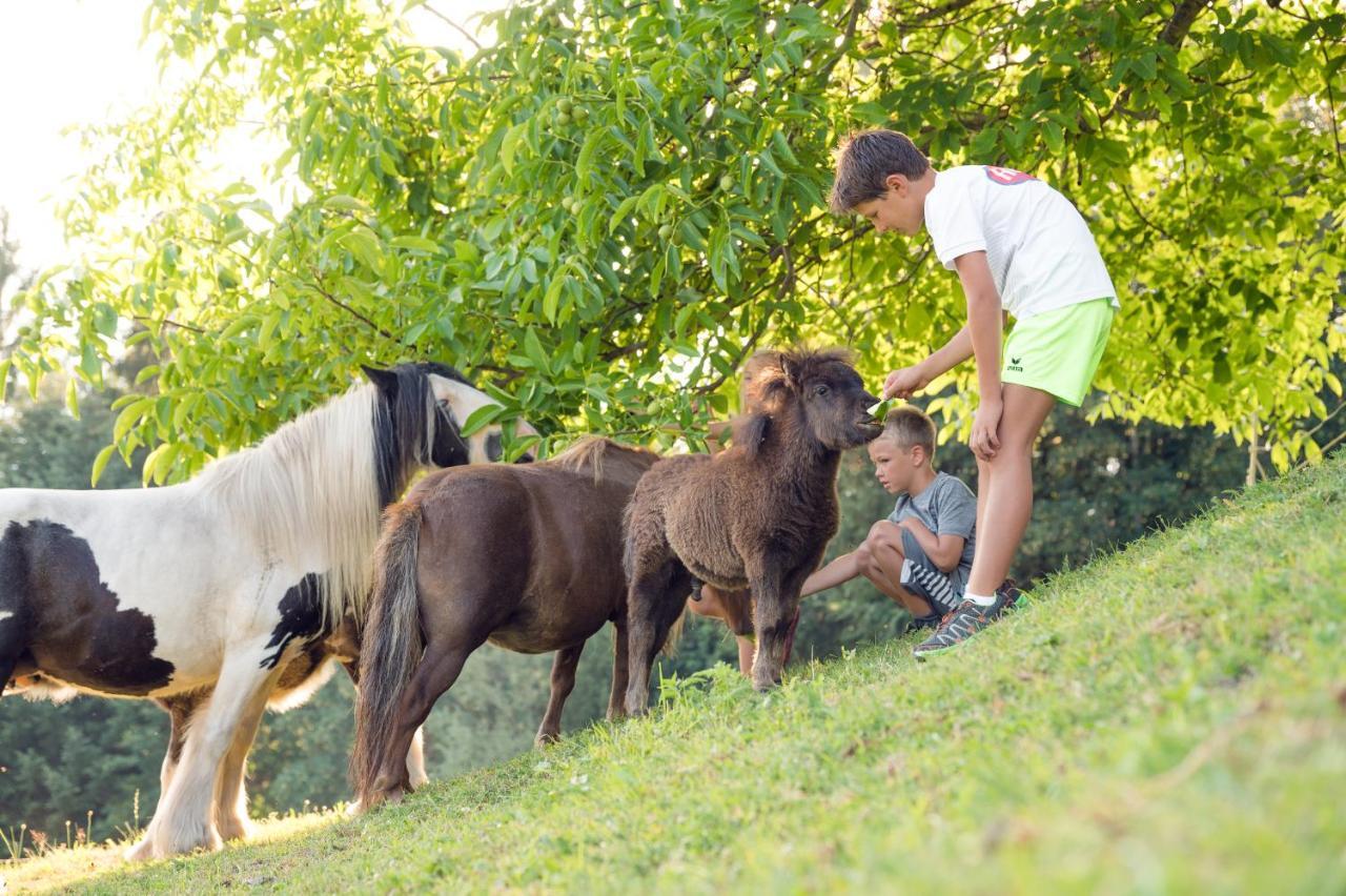 Familienbauernhof Samerhof プファルヴェルフェン エクステリア 写真