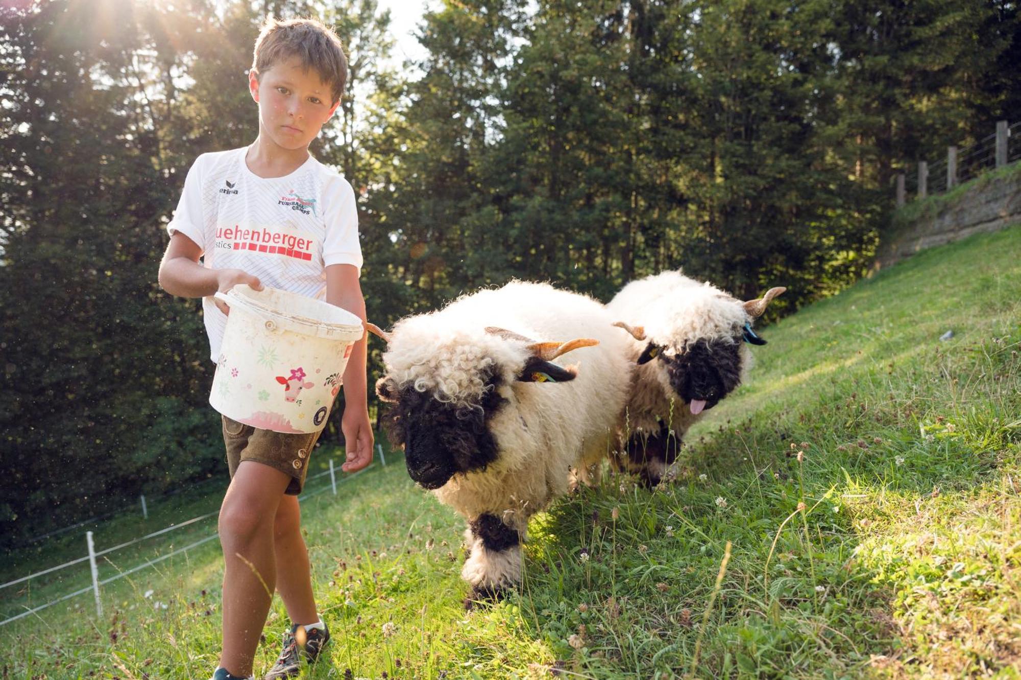 Familienbauernhof Samerhof プファルヴェルフェン エクステリア 写真