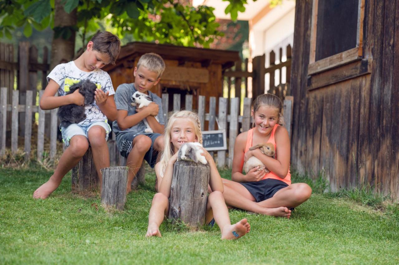 Familienbauernhof Samerhof プファルヴェルフェン エクステリア 写真