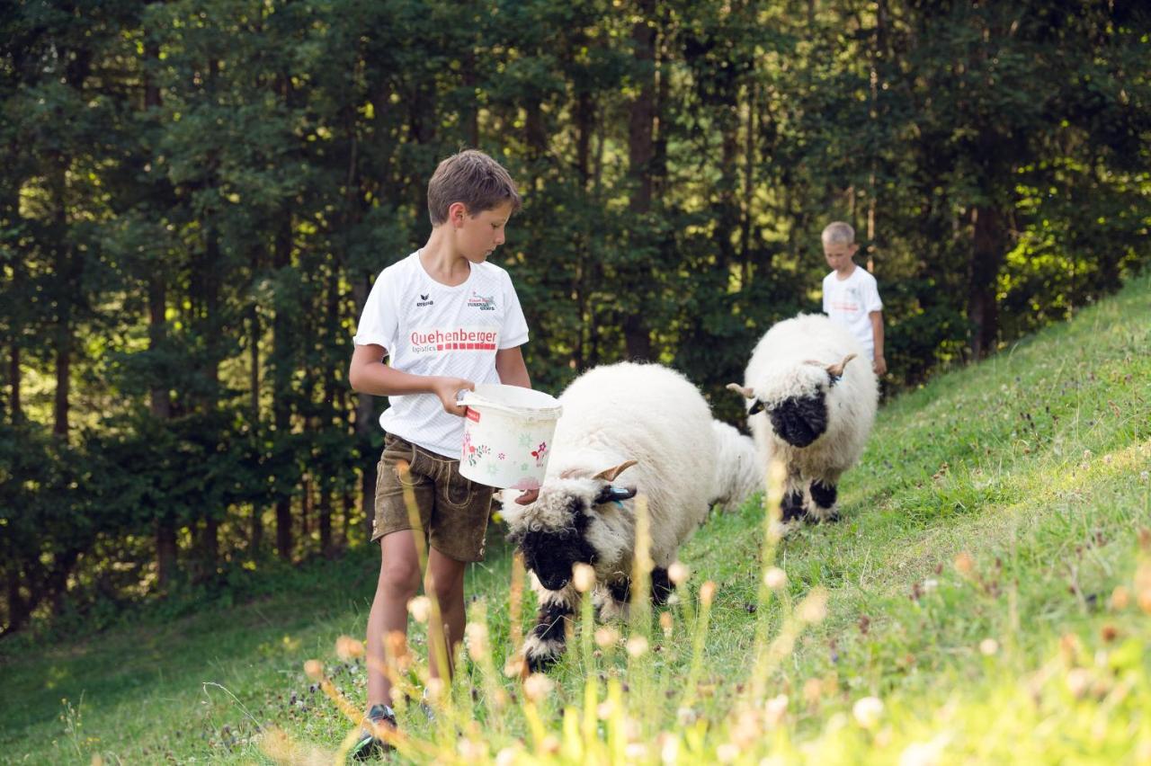 Familienbauernhof Samerhof プファルヴェルフェン エクステリア 写真