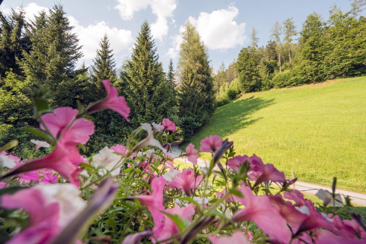 Familienbauernhof Samerhof プファルヴェルフェン エクステリア 写真